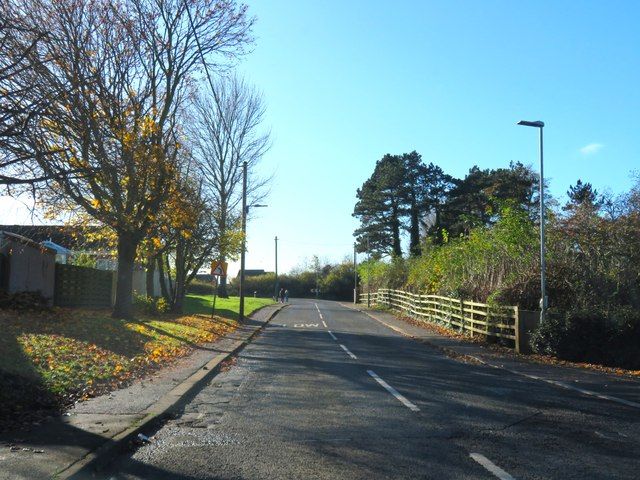 Worsall Road in Yarm, with trees and grass verges